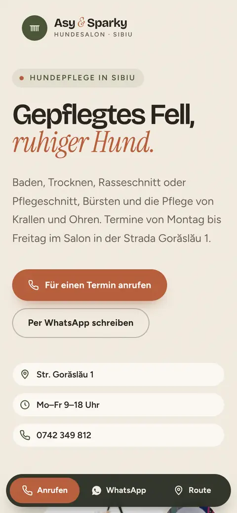 Asy&Sparky auf dem Handy
